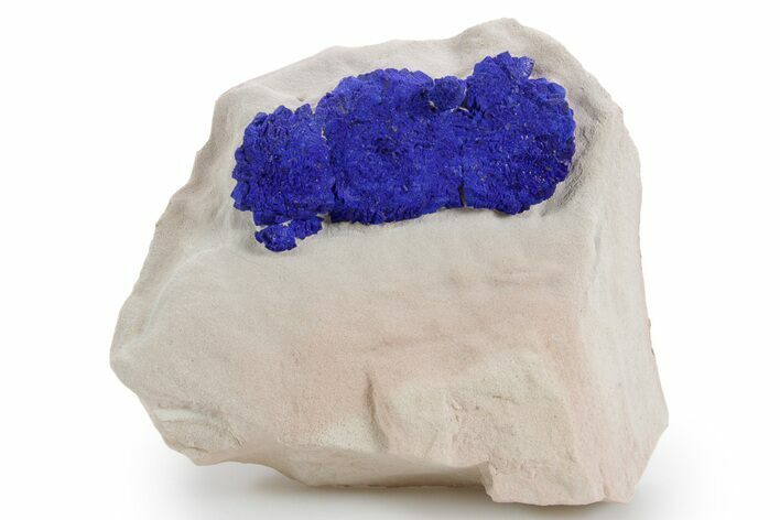 Vibrant Blue Azurite Sun Cluster on Siltstone - Australia #361229